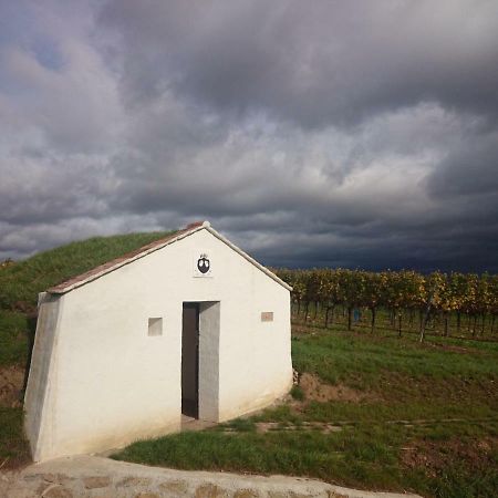 Leodagger Weingut Wagner 아파트 외부 사진