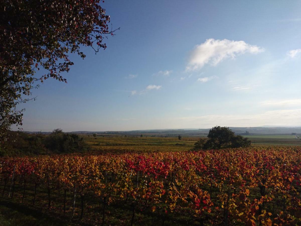 Leodagger Weingut Wagner 아파트 외부 사진